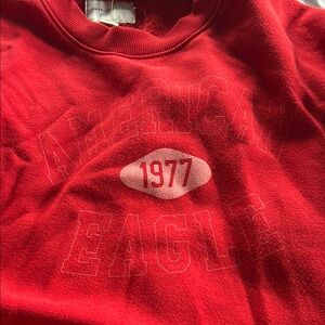 American Eagle Red Sweatshirt